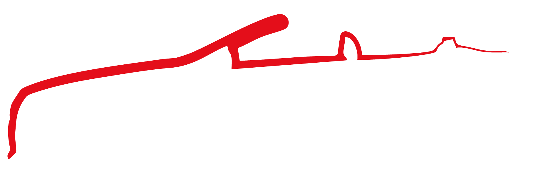 Logo azienda